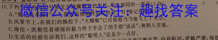 锦育教育·皖城联盟2022-2023学年九年级第一次联考（一模）语文