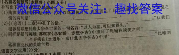 智慧上进·2022-2023学年高三年级二轮复习阶段性测试语文