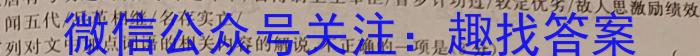 2023年湖南省普通高中学业水平合格性考试模拟试卷(二)语文