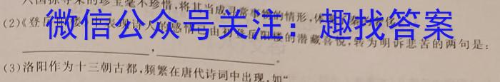 内蒙古2023届下学期高三大联考(3月)语文