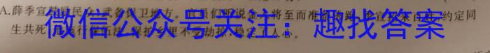 天一大联考·2023届河南省“顶尖计划”高三第三次联考（三）语文