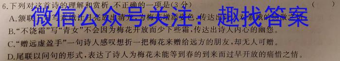 2023年普通高等学校招生全国统一考试金卷仿真密卷(十一)11 23新高考·JJ·FZMJ语文