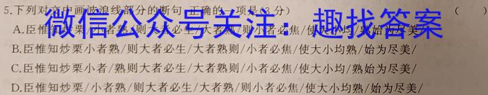 陕西学林教育 2022~2023学年度第二学期九年级期中调研试题(卷)语文