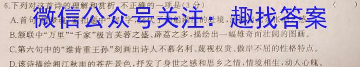 2023年湖南大联考高三年级4月联考（478C·HUN）语文
