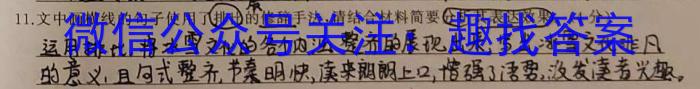 2023年普通高等学校招生全国统一考试信息模拟测试卷(新高考)(一)语文