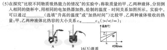 024~2023学年新乡高三第二次模拟考试(23-343C)-物理试题及答案"