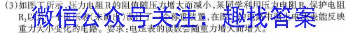 [阳光启学]2023届全国统一考试标准模拟信息卷(十)10.物理