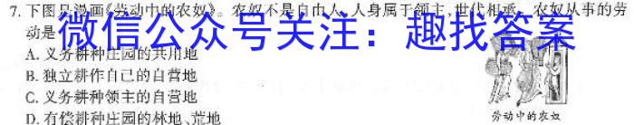 文博志鸿 2023年河北省初中毕业生升学文化课模拟考试(经典三)政治试卷d答案