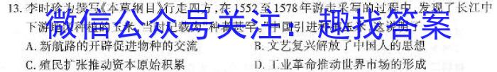 2023届中考导航总复习·模拟·冲刺·二轮模拟卷(一)历史