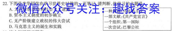 一步之遥 2023年河北省初中综合复习质量检测(五)5历史