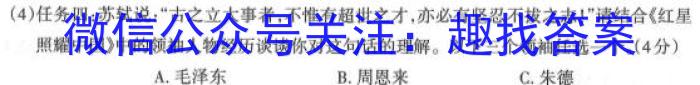 2023高考冲刺试卷 新高考(二)语文