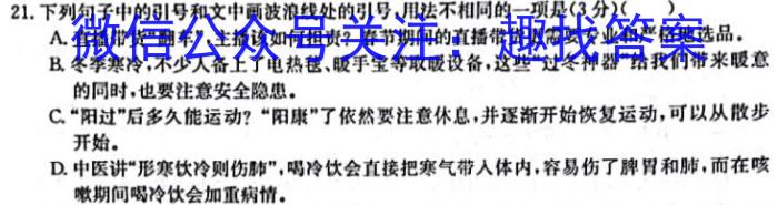 2023届安徽省安庆市示范高中高三4月联考语文