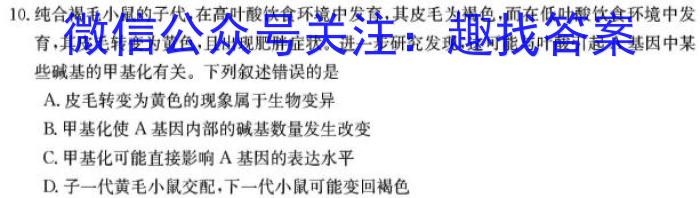 2022-023学年安徽省九年级下学期阶段性质量检测（六）生物