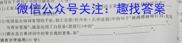 [齐齐哈尔二模]齐齐哈尔市2023届高三4月第二次模拟考试(233416Z)语文