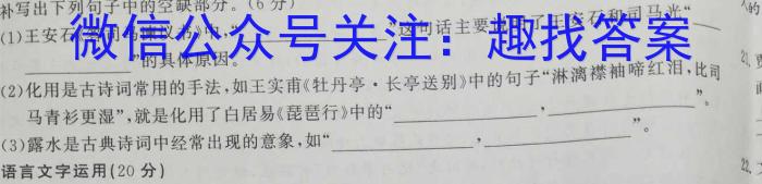 安徽第一卷·2023年安徽中考信息交流试卷（三）语文