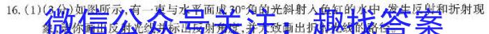 [国考1号15]第15套 高中2023届高考适应性考试物理`