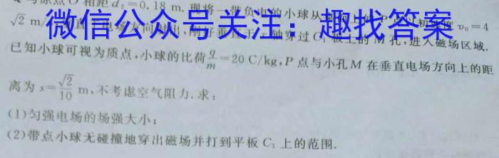 河北省2023届高三年级大数据应用调研联合测评(Ⅳ)l物理