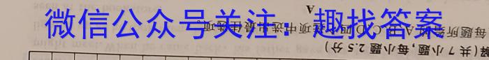 衡水金卷2023届高三3月大联考(新教材)英语