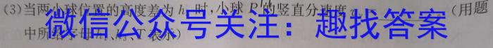 安徽省2023年九年级中考第一次模拟考试（新安中学）f物理