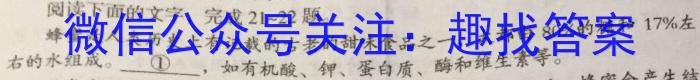 合阳县2023年初中学业水平第一次模拟考试语文