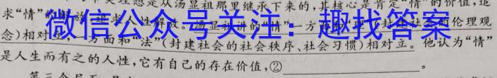 安徽省2025届七年级下学期教学评价二（期中）语文