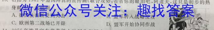 河南大联考2023年高三年级4月联考政治试卷d答案