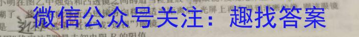 中考模拟系列2023年河北省中考适应性模拟检测(强化一).物理