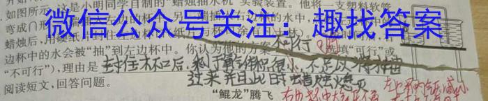 2023年普通高等学校招生全国统一考试 高考仿真冲刺押题卷(四).物理