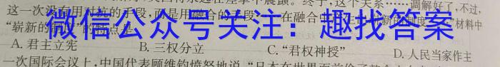 天一大联考·皖豫名校联盟2022-2023学年(下)高一年级阶段性测试(三)3历史