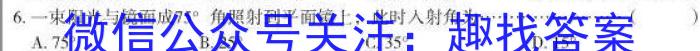 皖智教育 安徽第一卷·省城名校2023年中考最后三模(一)物理`