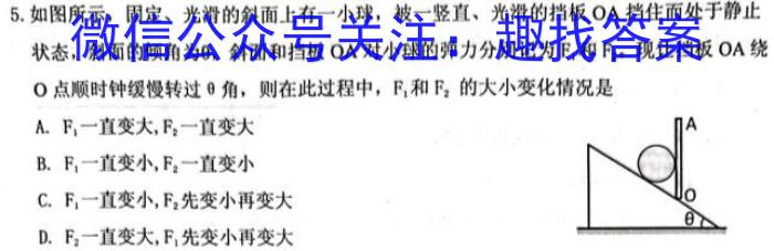 凤庆县2022-2023九年级学业水平测试卷(一)(23-CZ154c)物理`