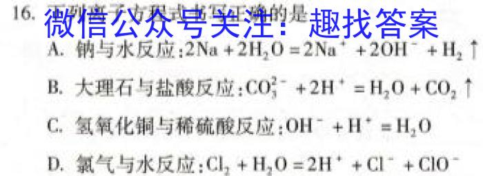 衡中文化2023年衡水新坐标·信息卷(一)化学