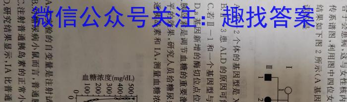 衡水名师卷 2023年辽宁名校联盟·信息卷(四)生物