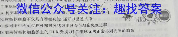 2023年普通高等学校招生全国统一考试仿真冲刺卷XKB(一)(二)(三)(四生物