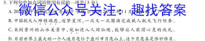 2023年河北省新高考模拟卷（四）语文