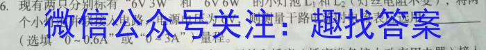 河南省2023届高三青桐鸣大联考（3月）.物理