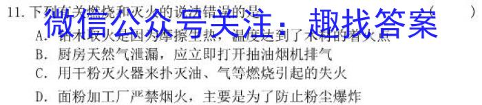 山西省2023届九年级百校联考一化学