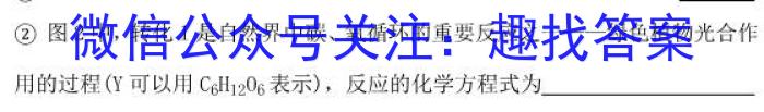 全国大联考2023届高三全国第八次联考8LK·(新高考)化学