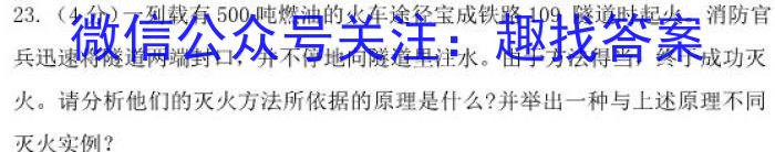 陕西省临渭区2023年九年级中考模拟训练(一)化学