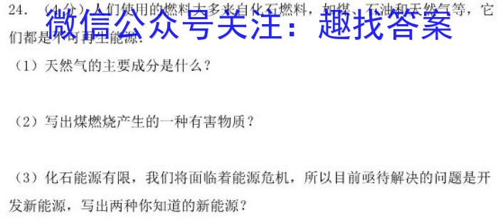 陕西学林教育 2022~2023学年度第二学期九年级期中调研试题(卷)化学