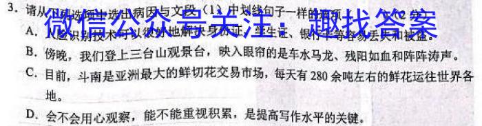 安徽省中考必刷卷·2023年名校内部卷（五）语文