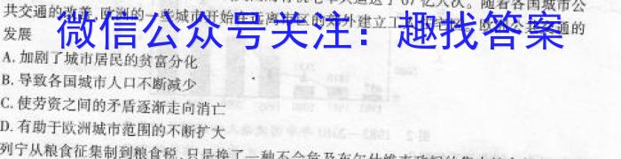 2023湖北圆创名校联盟高三第四次联考历史试卷