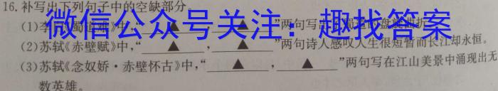 安徽省2023年九年级监测试卷（4月）语文