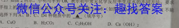 安徽第一卷·2023年安徽中考信息交流试卷（五）化学