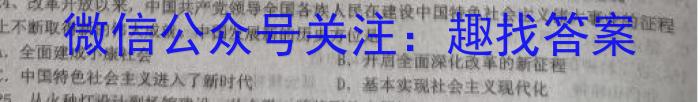 安徽省2024届八年级下学期教学评价二（期中）政治1