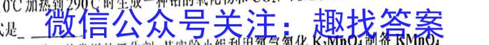 安徽省淮南市2023届九年级3月考试化学