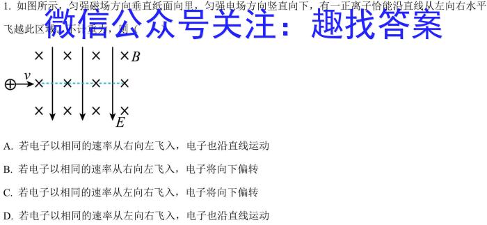 湖南省娄底市2023届高考仿真模拟考试物理`