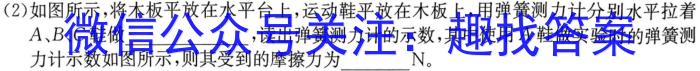 衡水金卷先享题压轴卷2023答案 新教材XA二f物理