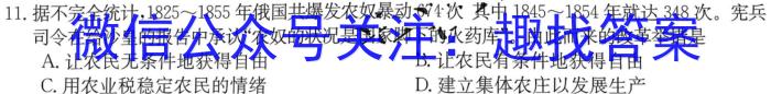 2022-2023洛阳强基联盟高二3月月考历史