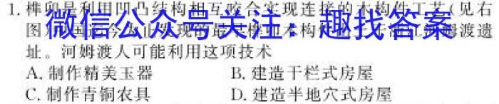 安徽省卓越县中联盟2023年高三年级4月联考历史